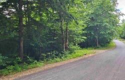 Bear Mountain Road lot: 2, Hebron, NH 03241