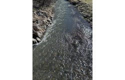 Rt. 46, Smethport, PA 16749