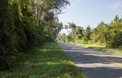 185TH RD., Live Oak, FL 32060