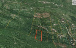 NHN Peach Park Loop, Rollins, MT 59931