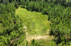 Gantt Red Level Rd, Red Level, AL 36474