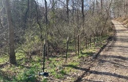 1402 Pierce Rd, Leon, WV 25123