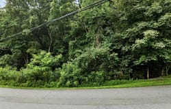 Riverbluff Road, Fairlawn, VA 24141