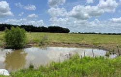 CR 3735, Wolfe City, TX 75496