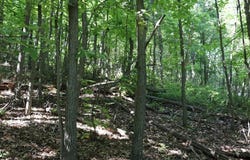 Lot 320 Ridge Run, Claysburg, PA 16625