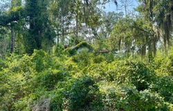 1204 2ND ST NW, Jasper, FL 32052