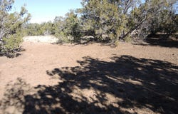 627 E Hualpai Trail, Williams, AZ 86046