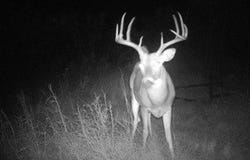 Davis Ln-TRACT 9, Bellevue, TX 76228