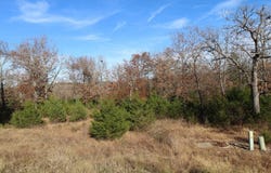 199 Forest Lake Drive, Branson West, MO 65737