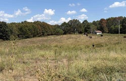 320 Stateline Rd, Mammoth Spring, AR 72554