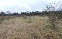 OFF HWY 378, Waldron, AR 72958