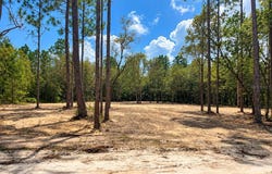 NE 88TH Lane, BRONSON, FL 32621