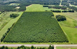 0 Edgefield Road, Clayton, AL 36016