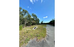 NE Willstone Way, Steinhatchee, FL 32359