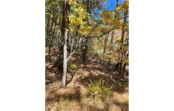 Seneca Road, Mount Pocono Boro, PA 18344