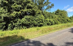 HWY 71, Bunkie, LA 71346