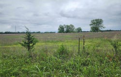 CR 15560, Paris, TX 75462