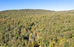 CR-27, Sidney Center, NY 13839
