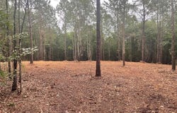 LEE ROAD 155 lot: 2A-1, SALEM, AL 36874