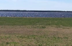 123 E Dowry Creek E lot: 85, Belhaven, NC 27810