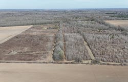 493 Scarey Woods Rd, Plaucheville, LA 71362