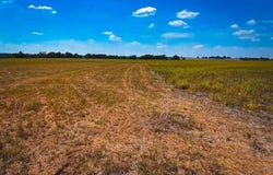 CR 3061, Thorndale, TX 76577