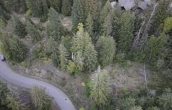 NKA White Cloud Dr, Sandpoint, ID 83864