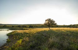 Legends Drive, Ranger, TX 76470