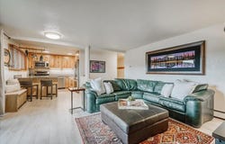 365 Salt Lick Circle, SILVERTHORNE, CO 80498