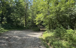 Brimstone Creek, Robbins, TN 37852