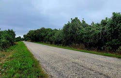 446 Riverside Drive, Bastrop, TX 78602
