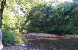 Mosley Road, Arkadelphia, AR 71923