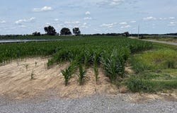 2025 CR 1050 E, Carmi, IL 62821