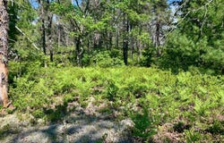 13713 N Whitefish Point Rd, Paradise, MI 49768