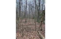 Center Road, Cartersville, GA 30121