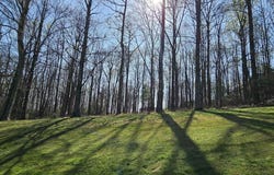 66 The Cliffs Parkway, Landrum, SC 29356