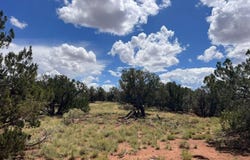 4151 - 4157 Sorrel Road, Snowflake, AZ 85937