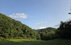 2673 Raines Rd, Wolfcreek, WV 24983