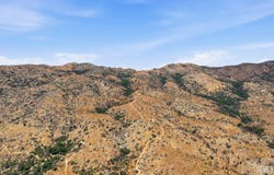 Silver Fox Drive, Havilah, CA 93518