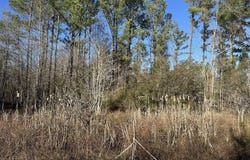 0021 Barnes Road, Gordon, AL 36343