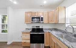 110 Georgia Lane, Mansfield, MO 65704