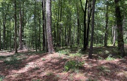 PULLMAN LANE lot: 1 & 2, Greensboro, GA 30642