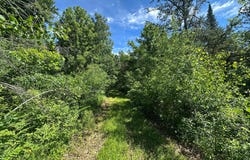 Oak Leaf Road, Kerrick, MN 55756