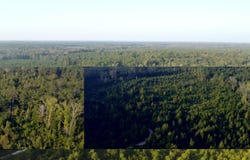 HORACE WILLIAMS ROAD, Chatham, LA 71226