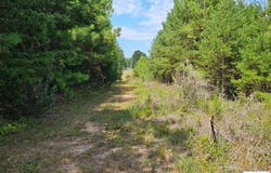 Wyatts Rd, Long Island, VA 24569