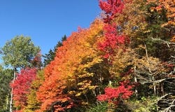 8A Freestyle Circle lot: 5, Dover, VT 05356