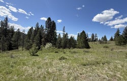 FIR Ln, CURLEW, WA 99118