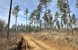 10 Dry Grove Road, Terry, MS 39170
