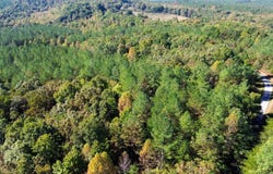 US Route 27, Sunbright, TN 37872