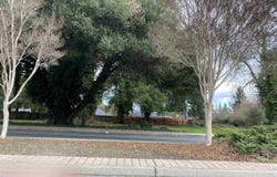 1698 D Street, Napa, CA 94559